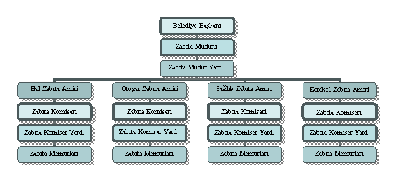 Organization Chart